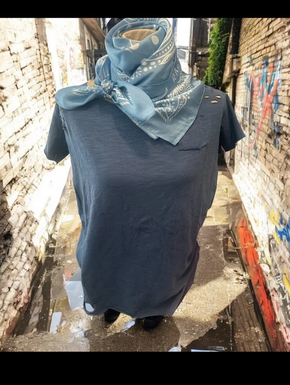 #1937 A Rare Bird Ripped Tattered Tee (Navy)